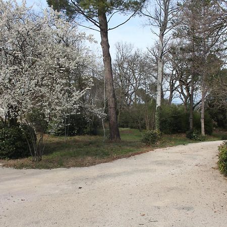 Ermitage Notre Dame De Vacquieres Bed & Breakfast Noves ภายนอก รูปภาพ