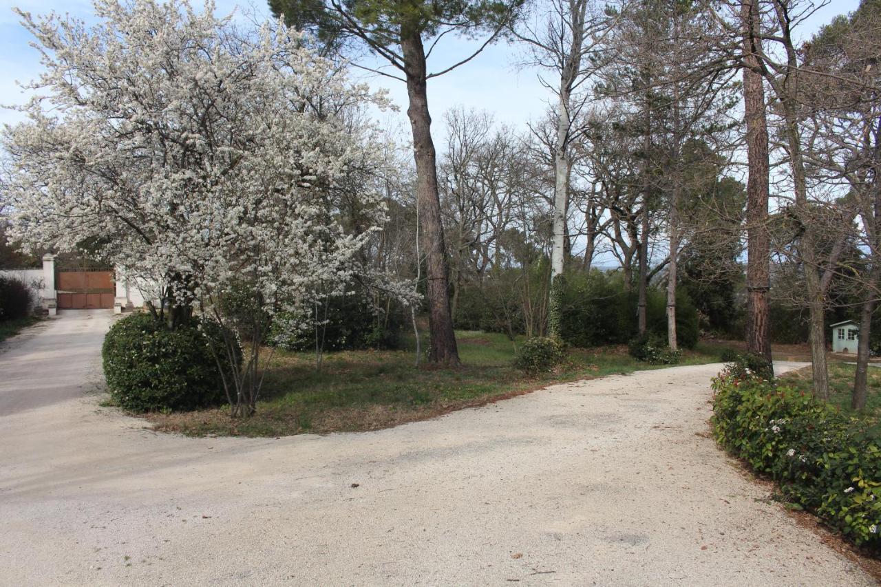 Ermitage Notre Dame De Vacquieres Bed & Breakfast Noves ภายนอก รูปภาพ